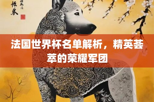 法国世界杯名单解析，精英荟萃的荣耀军团