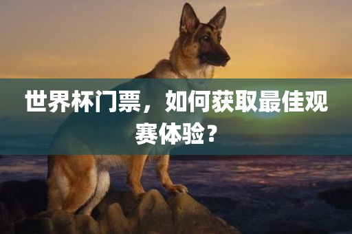 世界杯门票，如何获取最佳观赛体验？眉山市正发家政服务有限公司