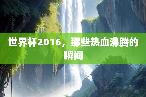 世界杯2016，那些热血沸腾的瞬间眉山市正发家政服务有限公司