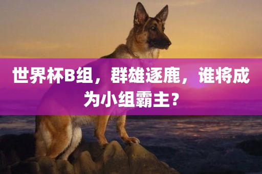世界杯B组，群雄逐鹿，谁将成为小组霸主？