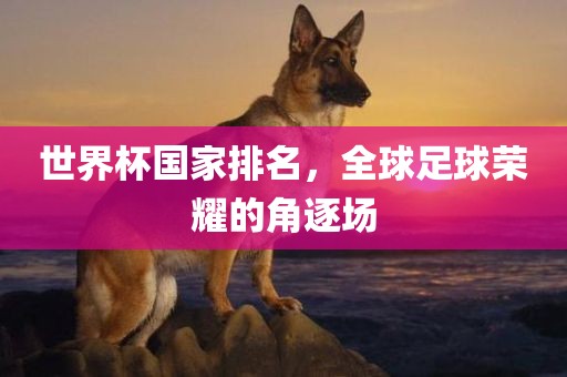世界杯国家排眉山市正发家政服务有限公司名，全球足球荣耀的角逐场