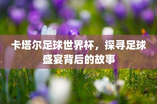 卡塔尔足球世界杯，探寻足球盛眉山市正发家政服务有限公司宴背后的故事