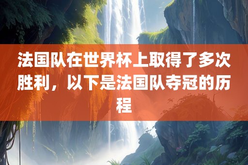 法国队在世界杯上取得了多次胜利，以下眉山市正发家政服务有限公司是法国队夺冠的历程