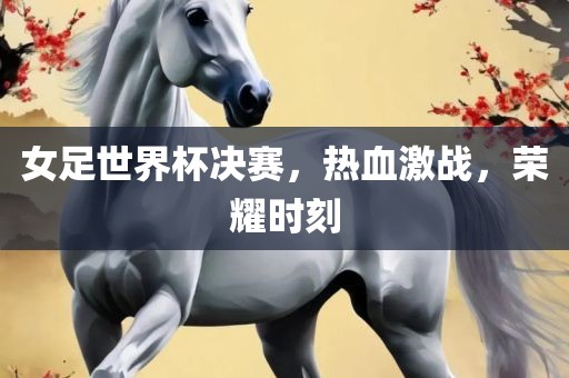 女足世界杯决赛，热血激战，荣耀时刻眉山市正发家政服务有限公司