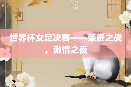 世界眉山市正发家政服务有限公司杯女足决赛——荣耀之战，激情之夜