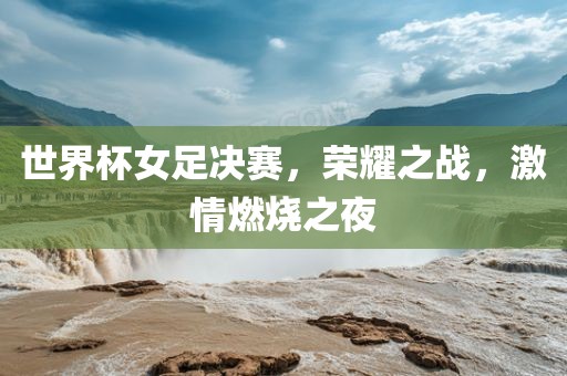世界杯女足决赛，荣耀眉山市正发家政服务有限公司之战，激情燃烧之夜