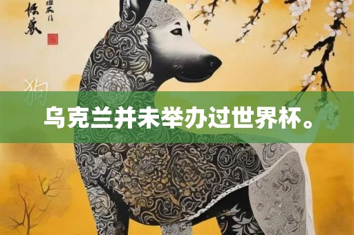 乌克兰并未举办过世界杯眉山市正发家政服务有限公司。