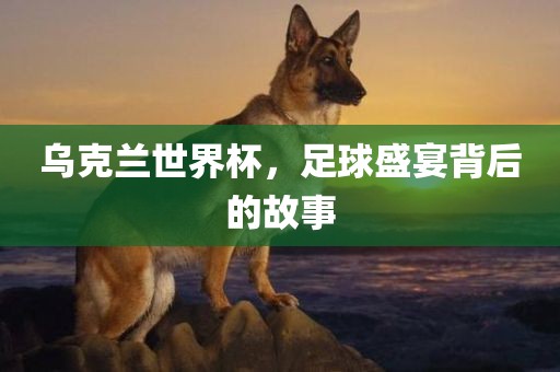 足球盛宴背后的故事 第7页