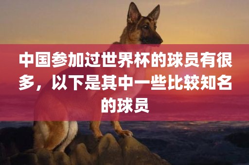 中国参加过世界杯的球员有很多，以下是其中一些比较知名的球员眉山市正发家政服务有限公司