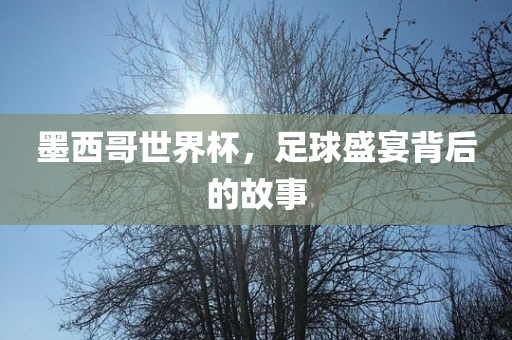 墨西哥世界杯，足球盛宴背后的故事眉山市正发家政服务有限公司
