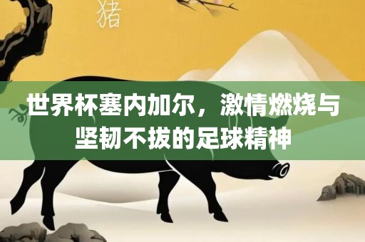 世界杯塞内加尔，激情燃烧与坚韧不拔的足球精神