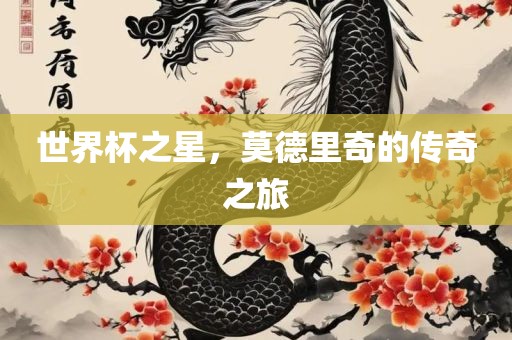 世界杯之星，莫德里奇的传奇之旅