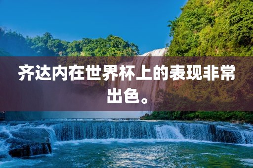 齐达内在世界杯上的表现非常出色。