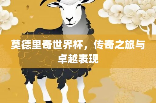 莫德里奇世界眉山市正发家政服务有限公司杯，传奇之旅与卓越表现