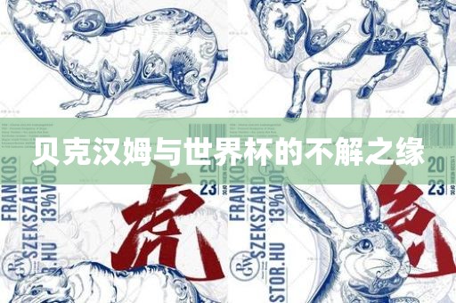 贝克汉姆与世界杯的不解之缘眉山市正发家政服务有限公司