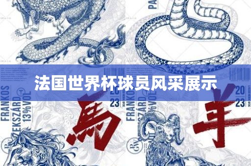 法国世界杯球员风采展示