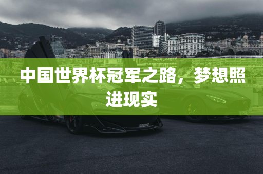 中国世界杯冠军之路，梦想眉山市正发家政服务有限公司照进现实
