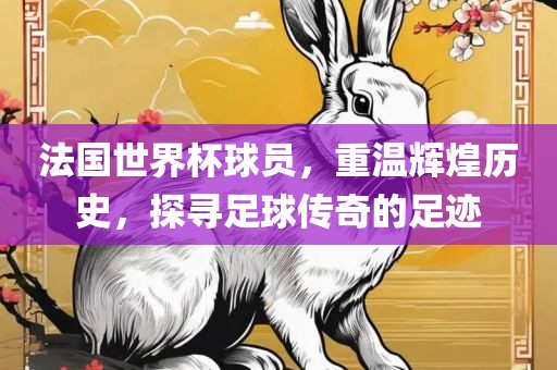 法国世界杯球员，重温辉煌历史，探寻足球传奇的足迹
