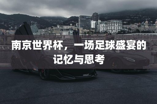 南京世界杯，一场足球盛宴的记忆与思考眉山市正发家政服务有限公司