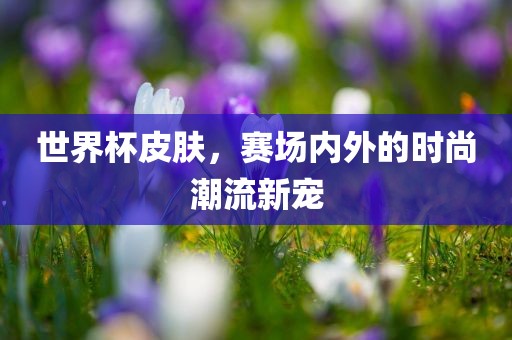 世界杯皮肤，赛场内外的时尚潮流新宠