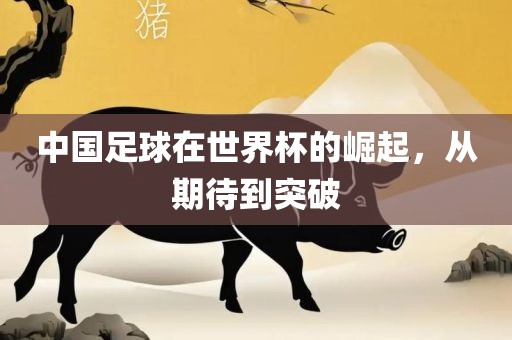 中国足球在世界杯眉山市正发家政服务有限公司的崛起，从期待到突破