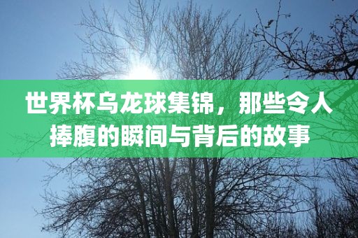 世界杯乌龙球集锦，那些令人捧腹的瞬间与背后的故眉山市正发家政服务有限公司事