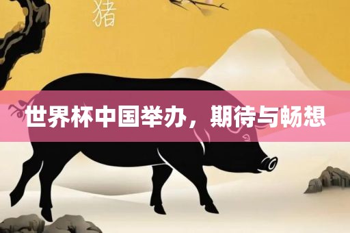 世界杯中国举办