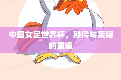 中国女足世界杯，期待与荣耀的重逢眉山市正发家政服务有限公司