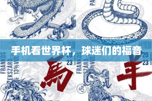 手机看世界杯，球迷们的福音眉山市正发家政服务有限公司