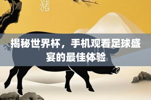 揭秘世界杯，手机观看足球盛宴的最佳体验眉山市正发家政服务有限公司