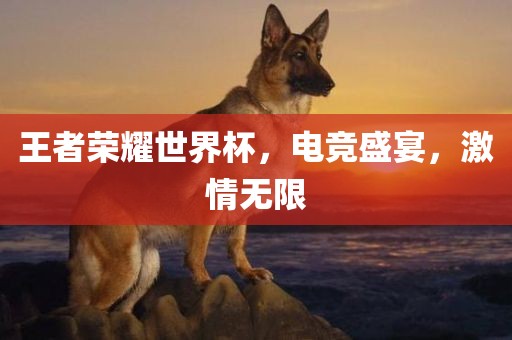 王者荣耀世界杯，电竞盛宴，激情无限