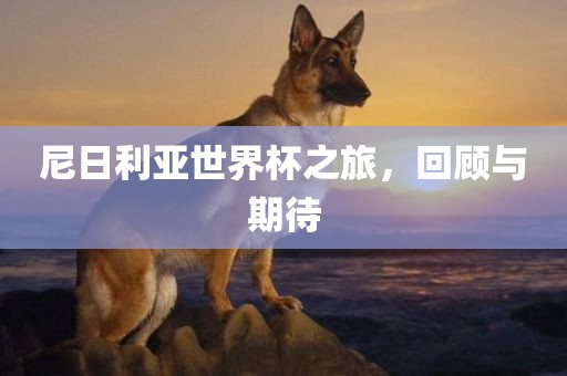 尼日利亚世界杯之旅，回顾与期待