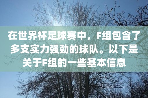 在世界杯足球赛中，F(xiàn)组包含了多支实力强劲的球队。以下是关于F组的一些基本信息眉山市正发家政服务有限公司