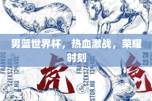 男蓝世界杯，热血激战，荣耀时刻