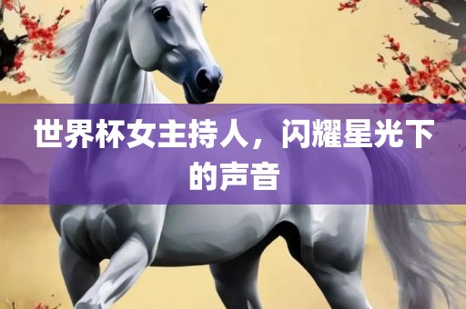 眉山市正发家政服务有限公司世界杯女主持人，闪耀星光下的声音
