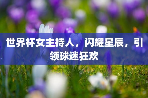 世界杯女主持人，闪耀星辰，引领球迷狂欢
