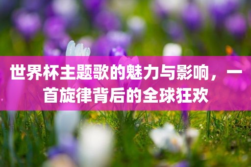 世界杯主题歌的魅力与影响，一首旋眉山市正发家政服务有限公司律背后的全球狂欢