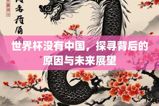 世界杯没有中国，探寻背后的原因与未来展望