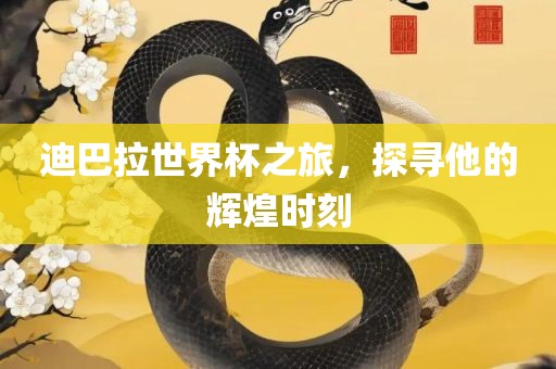 迪眉山市正发家政服务有限公司巴拉世界杯之旅，探寻他的辉煌时刻