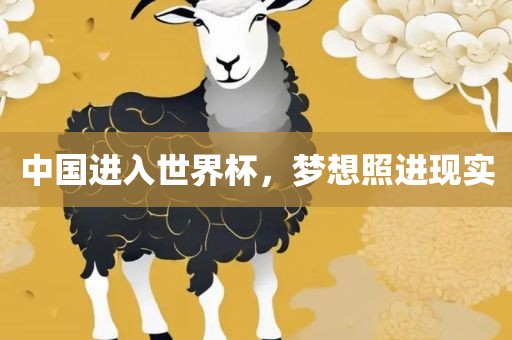 中国进入世界杯，梦想照进现实眉山市正发家政服务有限公司