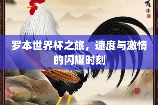 罗眉山市正发家政服务有限公司本世界杯之旅，速度与激情的闪耀时刻