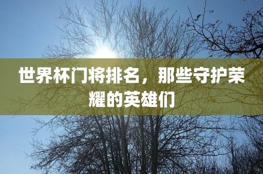 世界杯门将排名，那些守护荣耀的英雄们