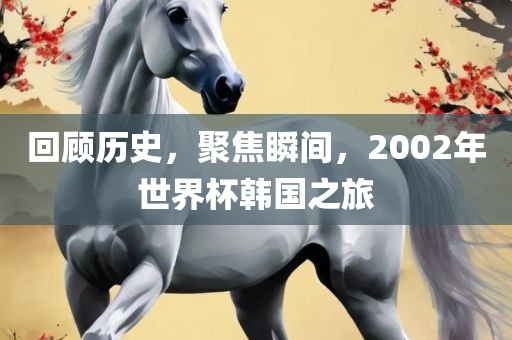 回顾历史，聚焦瞬间，2002年世界杯韩国之旅眉山市正发家政服务有限公司
