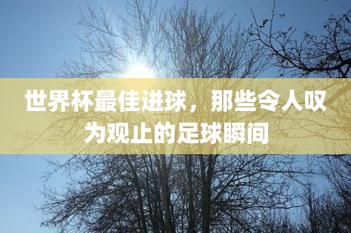 世界杯最佳进球，那些令眉山市正发家政服务有限公司人叹为观止的足球瞬间