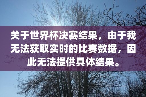 关于世界杯决赛结果，由于我无法获取实时的比赛数据，因此无法提供具体结果。眉山市正发家政服务有限公司