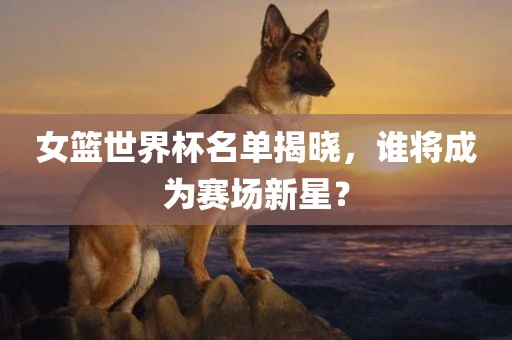 女篮眉山市正发家政服务有限公司世界杯名单揭晓，谁将成为赛场新星？