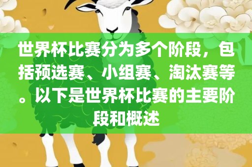 世界杯比赛分为多个阶段，包括预选赛、小组赛、淘汰赛等。以下是世界杯比赛的主要阶段和概述