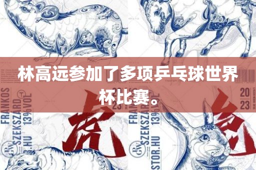 林高远参加了多项乒乓球世界杯比赛。眉山市正发家政服务有限公司