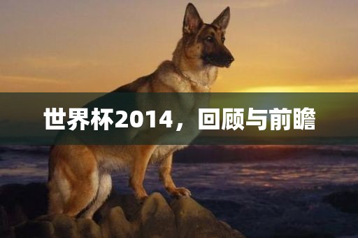 世界杯2014，回顾与前瞻