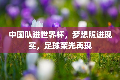中国队进世界杯，梦想照进现实，足球荣眉山市正发家政服务有限公司光再现